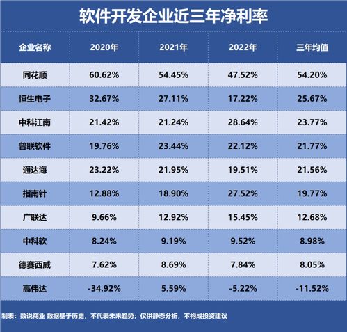 軟件開發行業中誰是最盈利的企業？